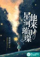 他来时星河璀璨最新章节
