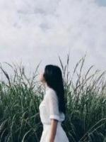林清言简默