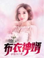 布衣神婿陈风免费阅读