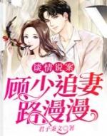 男主角叫顾良辰