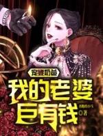 宠妻奶爸我的老婆巨有钱阅读