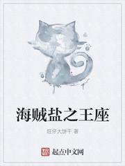 海贼盐之王座起点