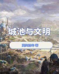 城池与文明txt