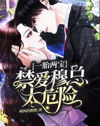 一胎双宝穆少陵