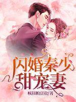 秦少的闪婚娇妻全文免费观看9集