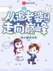 从追老婆开始走向巅峰无删版