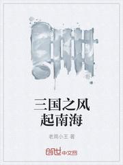 三国之风起南海txt