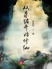 从杀猪到开始修仙