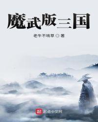 魔武版三国 最新章节 无弹窗