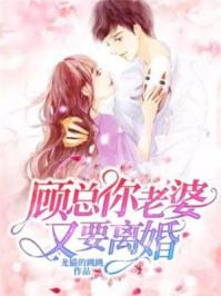 你老婆又要离婚了