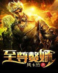 至尊赘婿陈天龙纪秋水总共有多少集