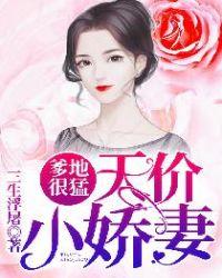 爹地很猛天价小娇妻全文免费阅读