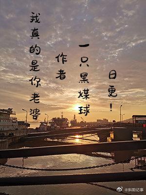 我真的是老婆粉全文阅读