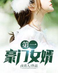 第一豪门女婿完整免费阅读