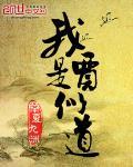 我是贾似道TXT