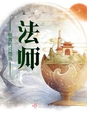 我真的只想当法师txt