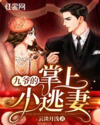 九爷的掌上小逃妻全文免费阅读