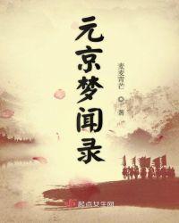 元京梦闻录起点