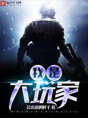 我是大玩家精校版