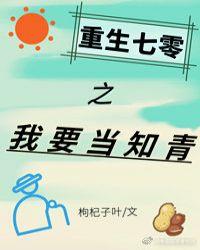 重生七零之我要当知青作者田一亩