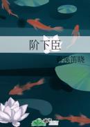 阶下臣by寒鸦双洁吗