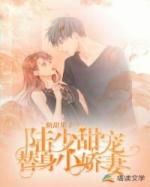 陆少甜宠替身小娇妻免费阅读