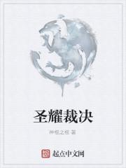 圣耀裁决评论