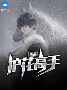 医品护花高手李长安童雅思免费