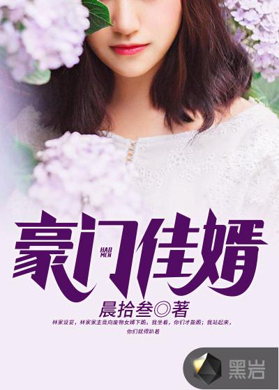 豪门佳婿叶风免费阅读