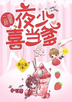 二婚甜妻夜少喜当爹完整版