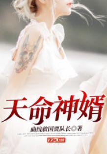 天命神婿陈黄皮叶红鱼全文