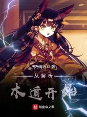 从解析木遁开始 无敌青衣
