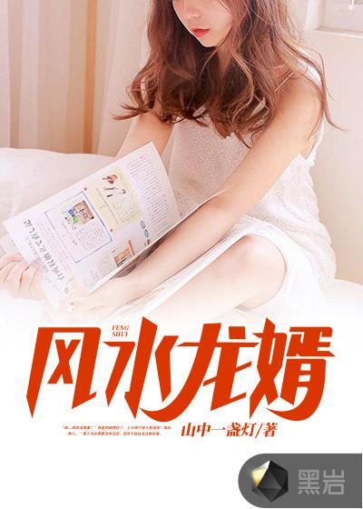 风水龙婿在哪里能看全集