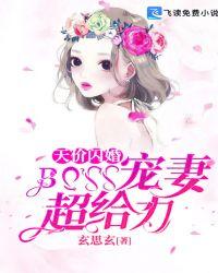 天价闪婚boss宠妻超给力玄思玄思玄