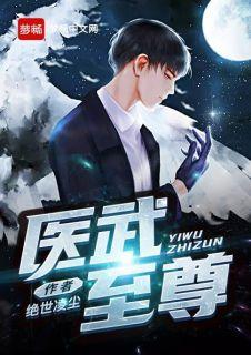 医武至尊宁天 TXT