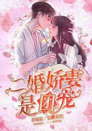 二婚娇妻是团宠全文免费二十章