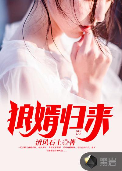狼婿归来沈飞太子豹