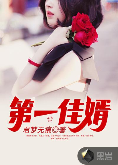 第一佳婿陆凡