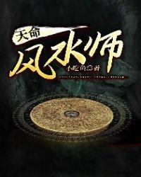 天命风水师免费阅读杨天鸣