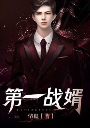 第一战婿TXT