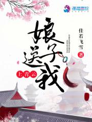 娘子送我上青云全文免费阅读无弹窗