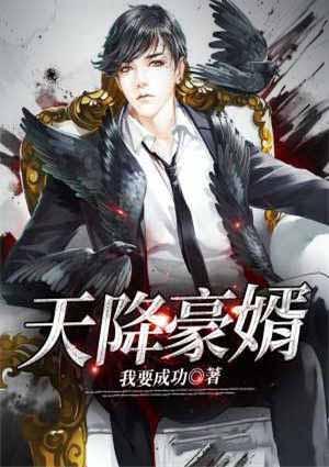 天降豪婿视频
