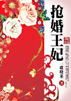 抢婚王妃全文免费阅读