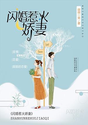 闪婚惹火娇妻txt