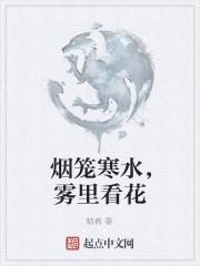 烟笼寒水月笼沙的下一句