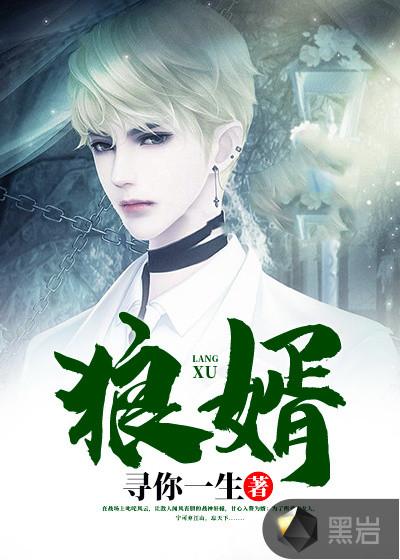 狼婿大江大河