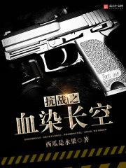 抗战之血染长空电视剧
