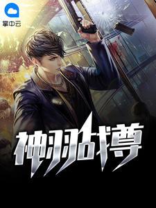 神羽战尊?