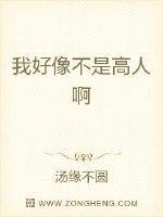 我不是是高人