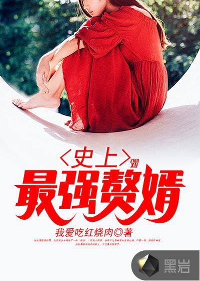 史上最强赘婿顶点
